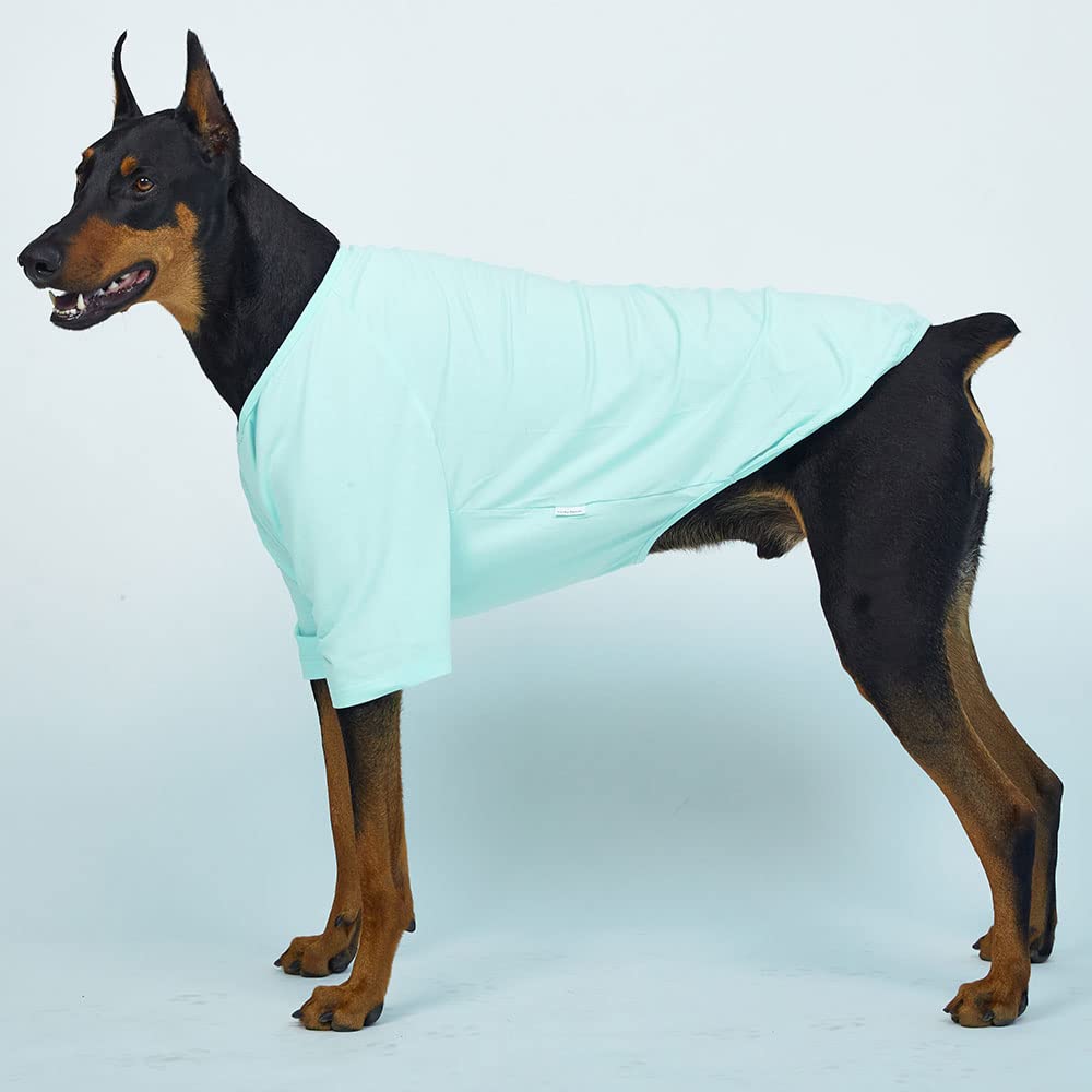 Camisa de perro para perros pequeños, camisetas lisas suaves y transpirables para perros, ropa para mascotas (2XL, menta)