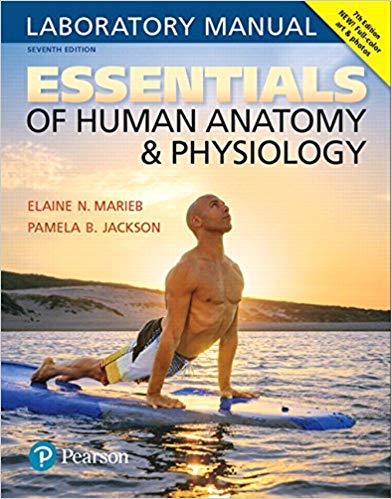 by Elaine N. Marieband Pamela B. Jackson - Essentials of Human Anatomy & Physiology Laboratory Manual (7th Edition) (Spiral-Bound) Pearson; 7 Edition (January 13, 2017) - [Bargain Books]