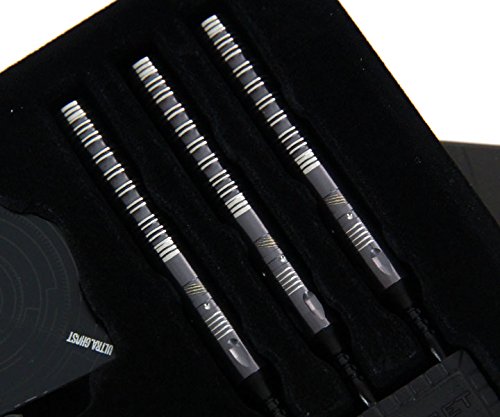 TARGET ターゲット レベル リボーン レネゲイド 2.0 川島淳 ダーツバレル【ターゲット】レベル リボーン レネゲイド 2.0