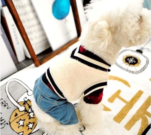 [SeitenFB]yp2_Zbgz`FbNfjWPbgpcȂ RX`[ Up hbOEFA ybg  m A-XS