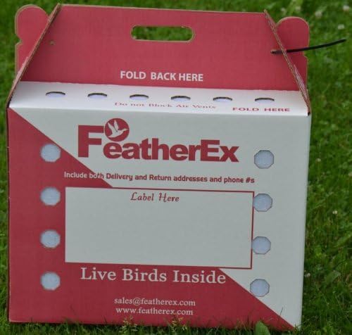 3 Pack FeatherEx Premier Shipping Boxes