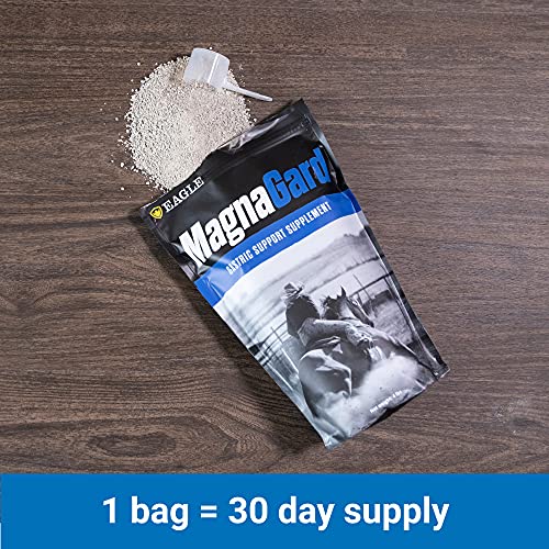 MagnaGard Gastric Support Supplement for Horses Relieves Ulcers