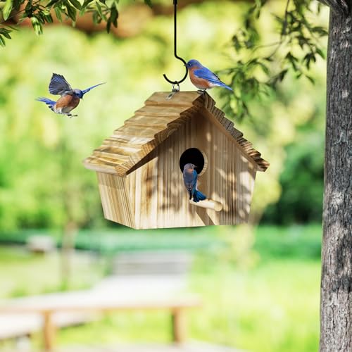 Auslar 101210100-EUP-US-F1 Bird House, Bird Houses For Outside, Wooden Birdhouse thumb #1