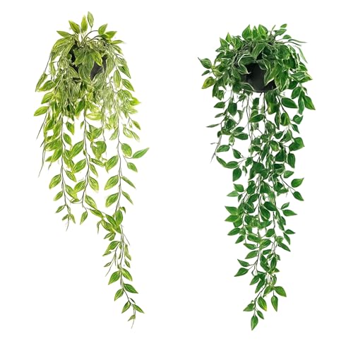 Generisch Kunstpflanze hängend 2er Set – Kunstpflanze, wie echt – Hängedeko für Balkon, Bad, Büro, Regal – Plastikpflanze Indoor Outdoor – Deko Wohnzimmer Wanddeko Generisch Kunstpflanze hängend 2er Set – Kunstpflanze, wie echt – Hängedeko für Balkon, Bad, Büro, Regal – Plastikpflanze Indoor Outdoor – Deko Wohnzimmer Wanddeko