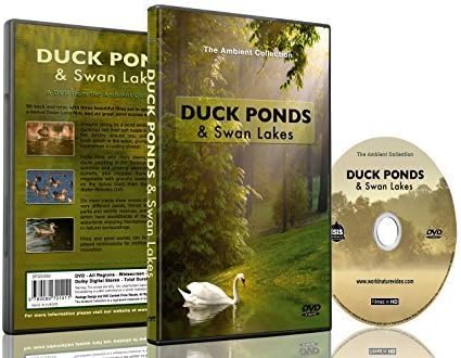 Relaxation DVD - Duck Ponds & Swan Lakes with Bird and Nature Sounds