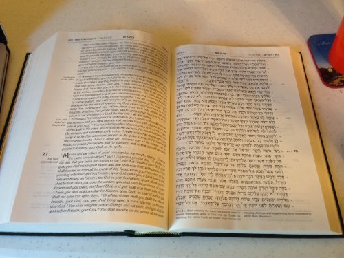 The Stone Edition Tanach - Hunter Green: The Torch - Prophets - Writings: The Twenty-Four Books of the Bible Newly Translated and Annotated (Artscroll Series)