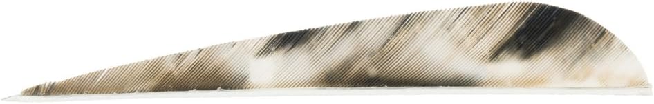 EBBQ Gateway Feathers 4-Inch Parabolic TreBark Camo 4 Right Wing Feather (100-Pack), Tree Bark