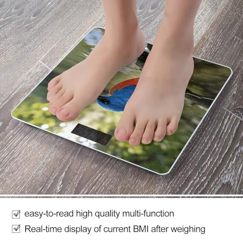 Báscula digital Kingfisher para uso doméstico, hasta 180 kg miniatura 5