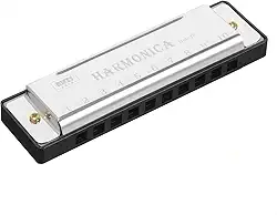 Gaita 10 furos chave de C, 20 tons diatônico blues boca órgão - ideal para iniciantes, inclui capa protetora - prata