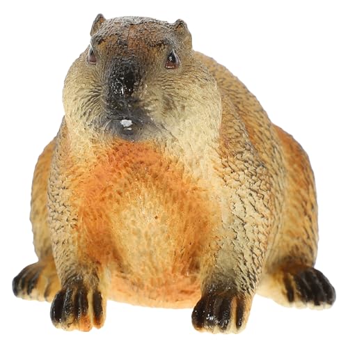 LIFKOME OEhzbOu  ͋[쐶͌^ CeApRpNg 쐶Fmip