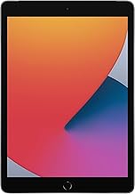 Apple iPad (10.2-inch, Wi-Fi, 128GB, 8th Generation)- Space Gray (Renewed)