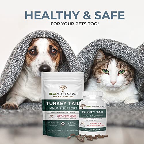 Real Mushrooms Turkey Tail (45G) And 5 Defenders (45G) Mushroom Extract Powder Bundle - Mushroom Supplement For Immune Strength - Vegan, Non-Gmo Immunity Supplement #TOP4