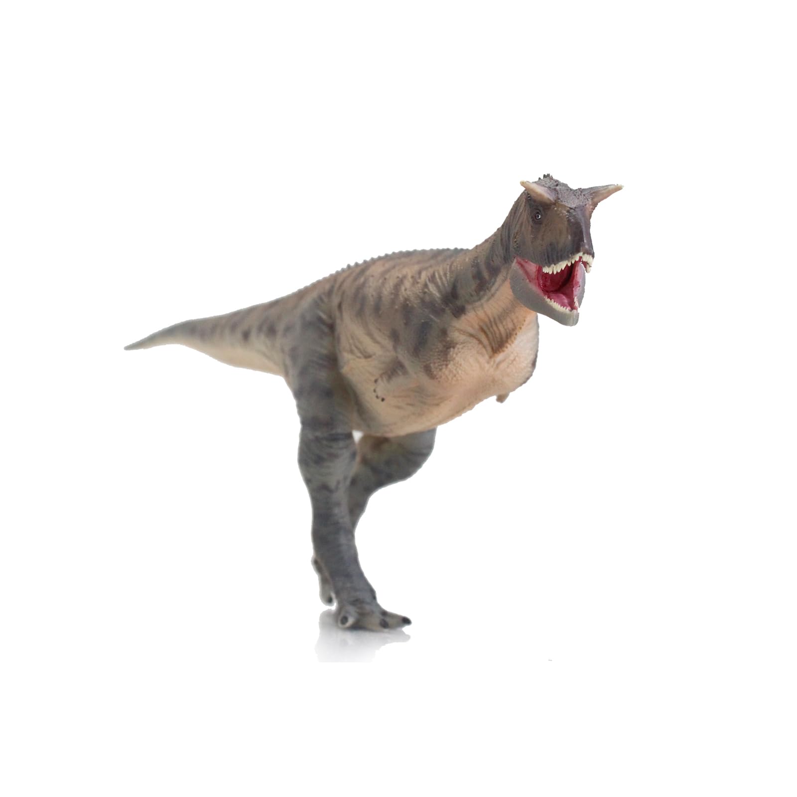 AMITD Carnotaurus (Zhoutong)