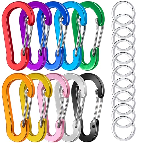 Caianwin 10 Pcs Carabina Clips Small Carabiner Clip