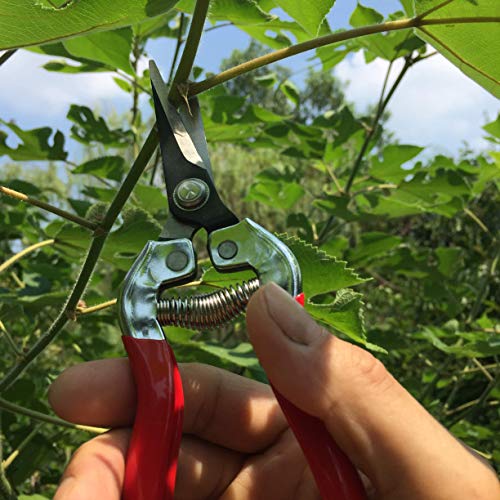 Tijeras de podar profesionales gonicc 8" con titanio miniatura 6