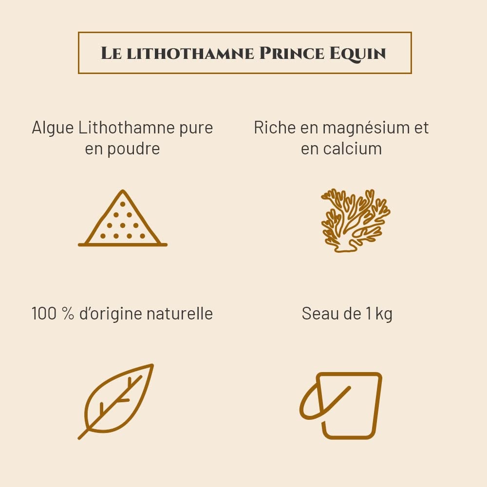 LITOTHAMNE - Complemento nutricional Caballo - Cubo de 1 kg - Calcio natural - Ayuda a regular la acidez gástrica - Remineralización - Marca francesa (Seau 1 kg)