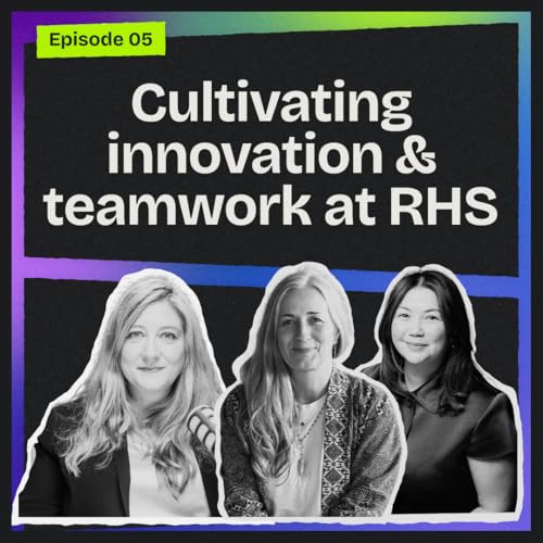 Why psychological safety could be the key to innovation