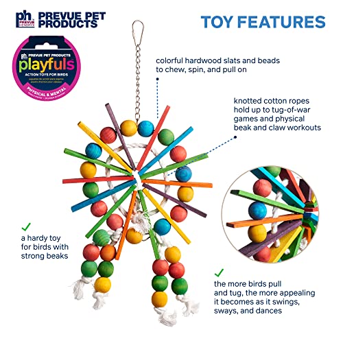 Image of Prevue Pet Products Bodacious Bites Ferris Wheel Bird Toy for Chewing | Accessories for Parakeets, Conures, Cockatiels, and Small to Large Birds, Hanging Cage Toy for Climbing