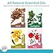 Wild Essentials Smell Training Kit Nasal Inhalers, Made in The USA, Pure Essential Oils, Olfactory Therapy, Loss of Smell, Aromatherapy, All Natural