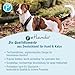 Petlando Hundegeschirr Mesh Y-Comfort – weich gepolstert, stufenlos verstellbar, besonders leicht und atmungsaktiv, fellschonend, ergonomisch – L, Petrol