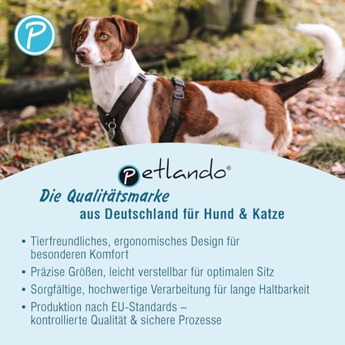 Petlando Hundegeschirr Mesh Y-Comfort – weich gepolstert, stufenlos verstellbar, besonders leicht und atmungsaktiv, fellschonend, ergonomisch – L, Petrol