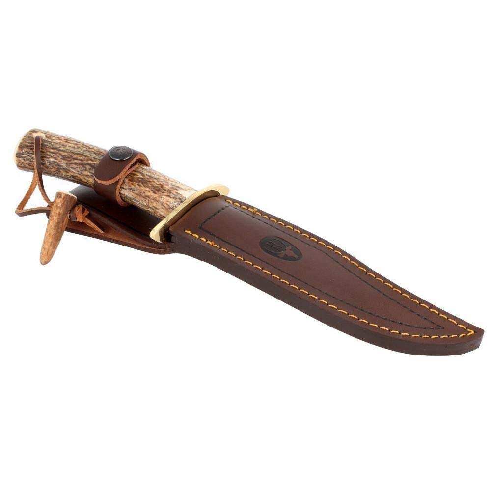 Muela Cuchillo de caza GRED-16 con hoja de acero inoxidable ACX-380 de 16 cm y empuñadura de madera de olivo para Caza, Pesca, Supervivencia y Bushcraft + Portabotellas de regalo