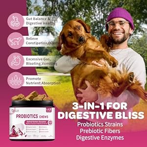 Probiotics for Dogs – Dog Probiotics and Digestive Enzymes for Digestive Health – Plus Fish Oil & Vitamins Supplement for Allergies & Immune & Itchy Skin, 120 Chicken Flavor Probiotic Soft Chews