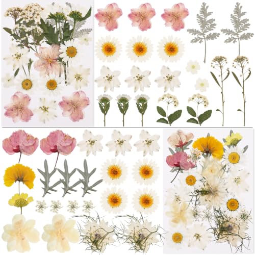 Image of NESCCI 83 Pcs Dried Flowers for Crafts,Real Natural Dried Pressed Flowers in Soft Yellow, White & Pink Tones for Resin,Used for Scrapbooking DIY Art Crafts Candle Soap Making Nails Decor
