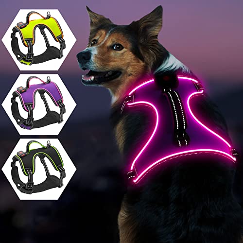 Arnés Luminoso para Perros, iTayga a Prueba de Escape, Chaleco Reflectante Ajustable sin tirones, Juego de arnés para Perros de Seguridad Nocturna Luminoso Recargable por USB (púrpura - Rosa, M)