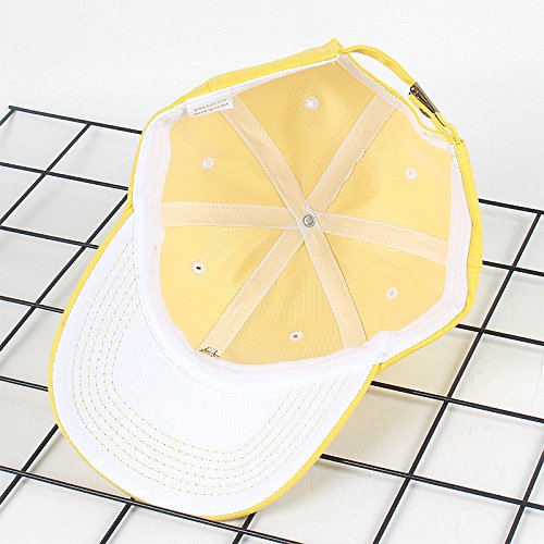 Casquette de baseball réglable à broderies idéale pour le week-end