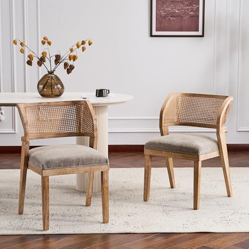 Christopher Knight Home Ashe Upholstered Dining Chairs Set of 2, Modern Dining Chair...