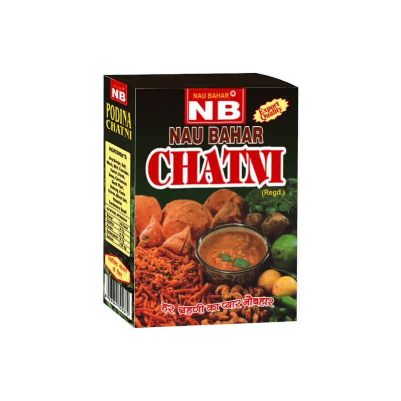 NB Naubahar Chatni 200g – Authentic Mint Chutney Masala Traditional Indian Spice Blend for Snacks & Meals Rich Flavor No Artificial Colors-image-38