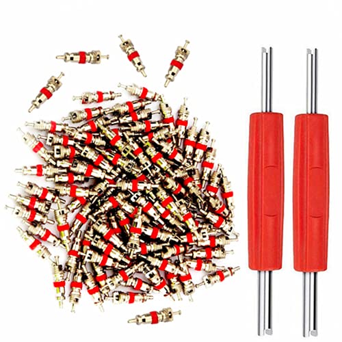 Valve Stem Removal Tool With 102 Pcs Replacement TPMS Nickel Plated Schrader Valve Stem Cores,Car Truck Tire Tyre Valve Stem Core Dual Single Head Valve Core Remover Tire Repair Tool Set