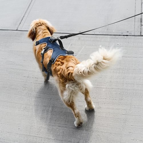Jewyow Hundegeschirr Leuchtend, Wiederaufladbare LED Hundegeschirr, Led Geschirr für Hunde mit Weicher Griff, 3 Einstellbare Modus, Wasserdicht für Mittelgroße, Große Hund, Blau-L
