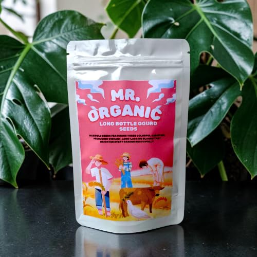 Mr.Organic Long Bottle Guord Seeds For Home Garden (100 To 125 Seeds) 25 Gram | Leafy Vegetable planting seeds ideal for both home gardening | High Germination Rate