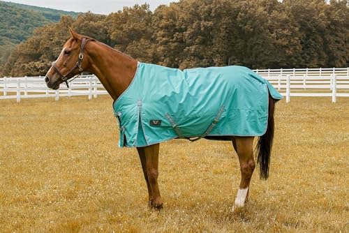 Image of TuffRider 1200 D Comfy Winter Ripstop Turnout Blanket Medium Weight 200 GSM Standard Neck - Turquoise - 72