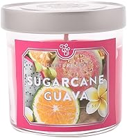 Vista 1 de Signature Soy Vela perfumada de guayaba de caña de azúcar con tapa
