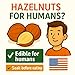Crazy Nuts | Oregon Grown Large Raw Hazelnuts In Shell, 10lb | Whole Hazelnuts to Eat and for Wildlife, Avellanas Naturales