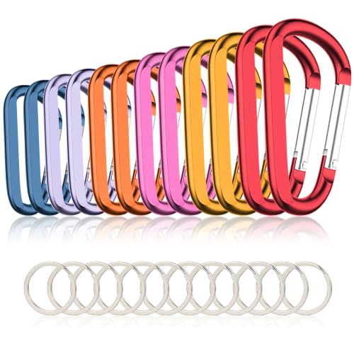 Image of CampTek Carabiner Caribeaner Clip,3 inch Large Aluminum D Ring Shape Carabeaner with Keyring Keychain Hook