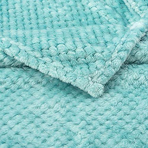 Image of Warm Soft Fuzzy Dog or Cat Blanket, Plush Fleece Throws for Puppy, Kitten, Bed, Couch, Sofa, Travel (L /40 inch x 48 inch, Robin Blue)