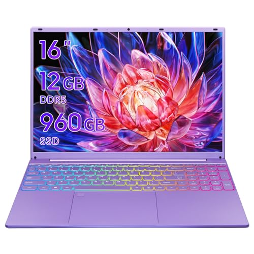 Zyphionix Ordenador portátil, pantalla IPS FHD de 16 pulgadas, Celeron N95 (hasta 3,4 GHz), 12 G DDR5, teclado con retroiluminación/reconocimiento de huellas dactilares/protector de teclado alemán