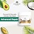 Talaypu Hair Treatment Mask, Deep Nourishment, Extra Repair and Strengthen hair root, Silicone Free, Free From 12 Harmful Chemicals, 100% Natural Active Ingredients (6.08 Fl.Oz)