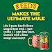 Reed's, Extra Ginger Beer, Great Tasting All Natural Craft Ginger Beer with Fresh Ginger Root (12oz Can, 24 Pack)