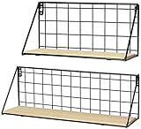 bonsai wald indoor kaufen Multi-Gelegenheiten- für Ihr Schlafzimmer, Wohnzimmer, Lesesaal, Zimmer, Spielzimmer und Büro, Schule, Liberary, Cafe Shop;