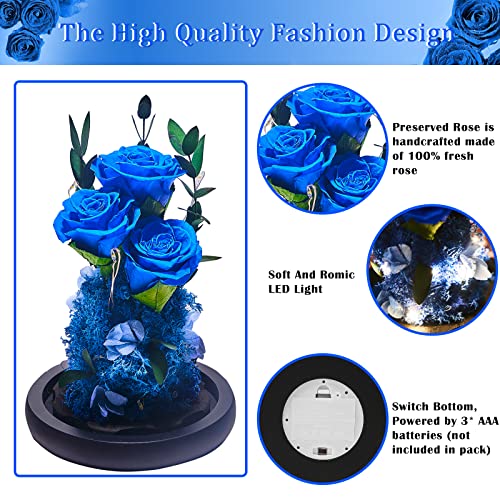 Preserved Rose Gifts For Women, Forever Real Rose In Glass Dome, Romantic Rose Flower Gifts For Mom Best Friend Girlfriend Wife Grandma, Valentine’s Day Mother’s Day Anniversary Birthday Gifts #TOP2