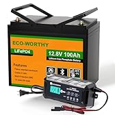 ECO-WORTHY 12V 100AH LiFePO4 Lithium Bluetooth Battery and 12V 10A Automatic Smart Battery Charger, Built-in BMS Low-Temp Protection, Up to 15000+ Deep Cycles, for RV, Trolling Motor, Solar System