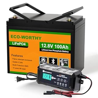 ECO-WORTHY 12V 100AH LiFePO4 Lithium Bluetooth Battery and 12V 10A Automatic Smart Battery Charger, Built-in BMS Low-Temp Protection, Up to 15000+ Deep Cycles, for RV, Trolling Motor, Solar System