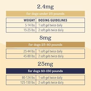   Daily-Hemp-Soft-Gels-Small-Dog-24mg-for-Mobility-Comfort-and-Calming-Support-for-Dogs-Under-25lbs-Effective-for-Joint-Function-Neuro-Support-and-Senior-Pet-Wellness