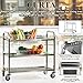 CURTA Stainless Steel Serving Trolley, 38