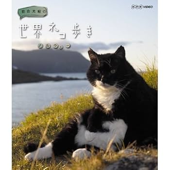 (未使用･未開封品)　岩合光昭の世界ネコ歩き　フロリダ・キーウエスト DVD vf3p617 未使用・未開封品) 岩合光昭の世界ネコ歩き フロリダ・キー